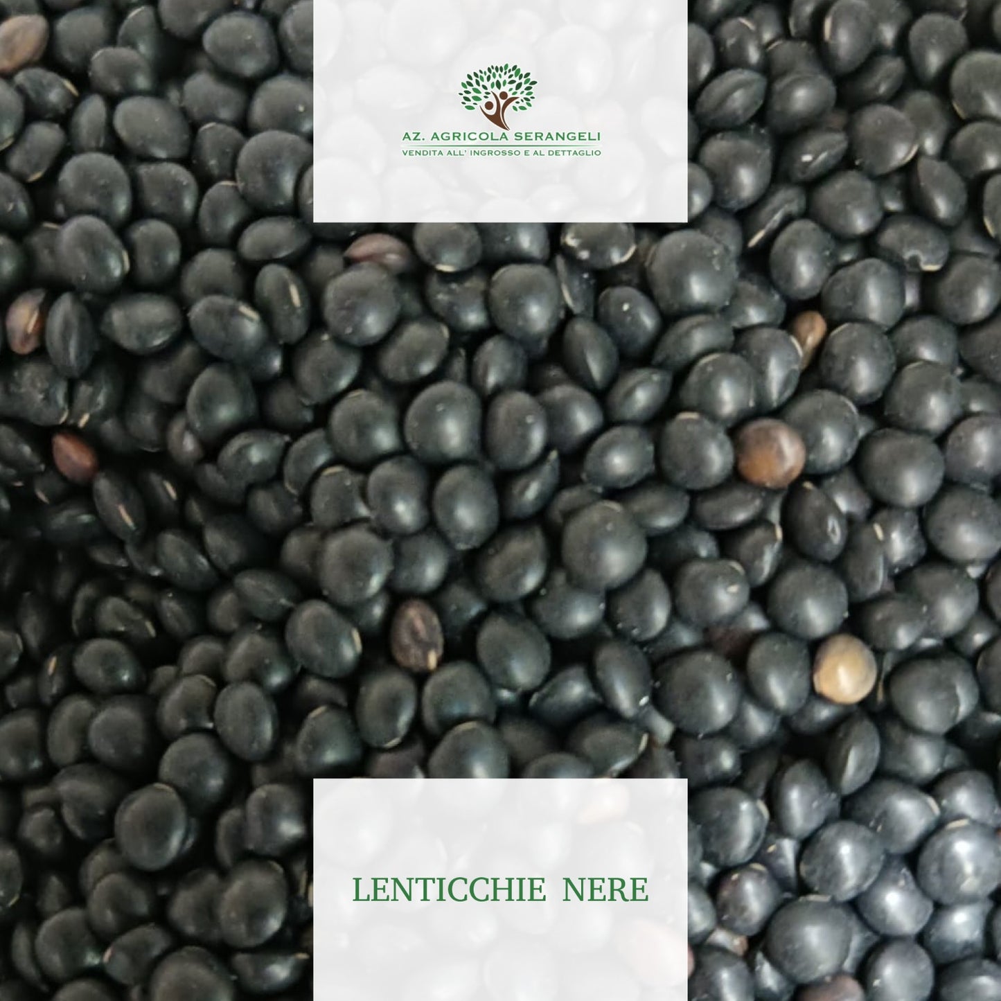 Lenticchie Nere
