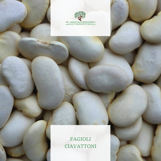 fagiolo ciavattone