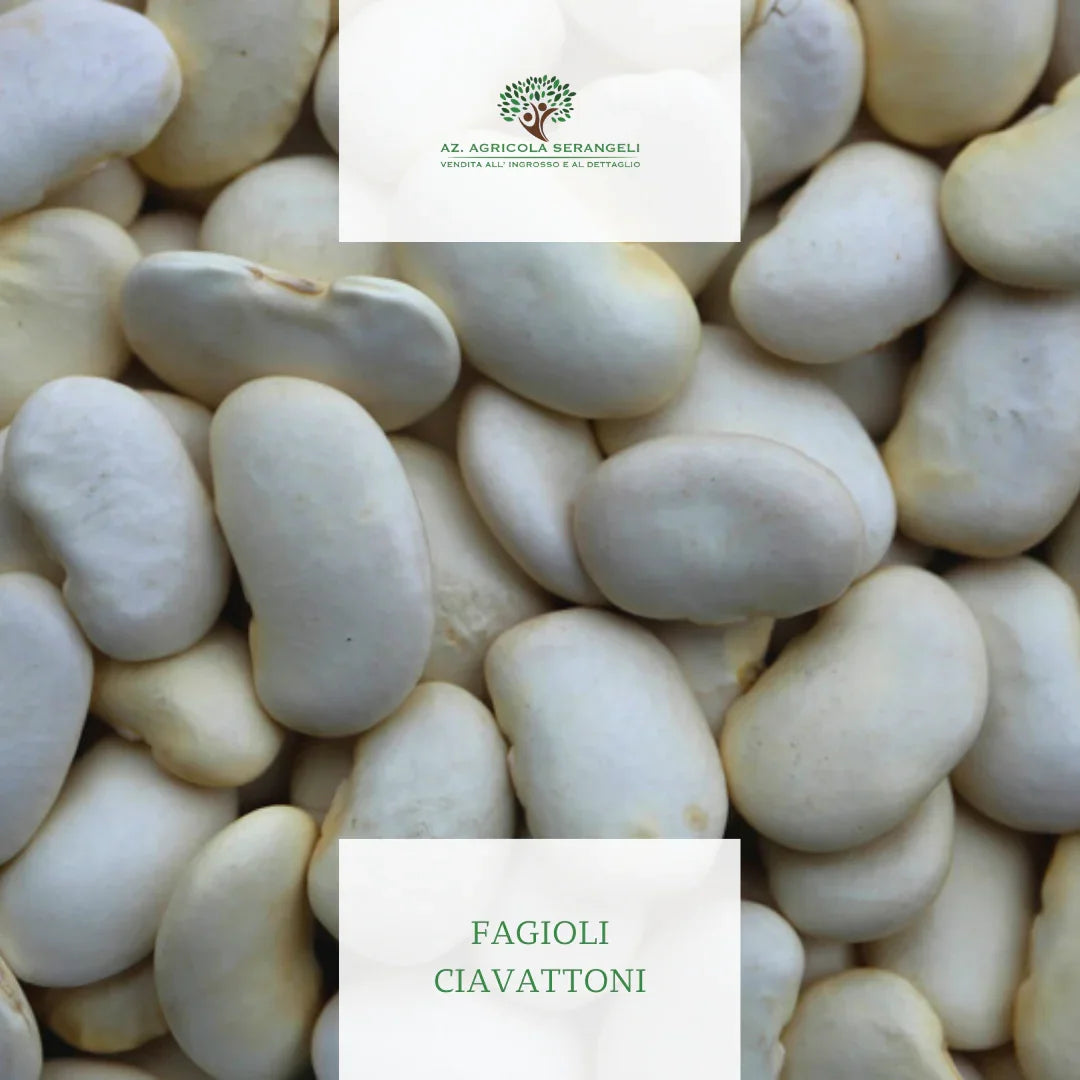fagiolo ciavattone