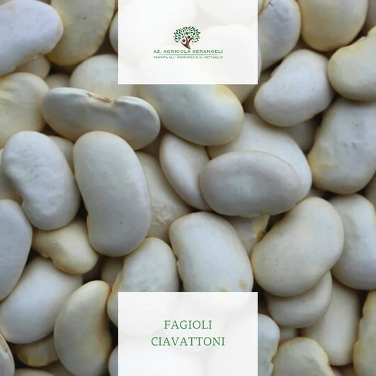 fagiolo ciavattone