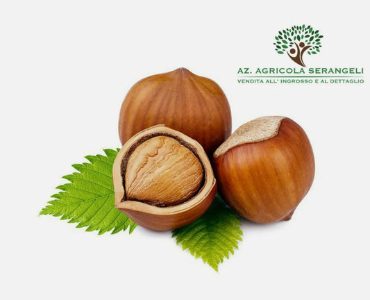 Raw shelled hazelnuts
