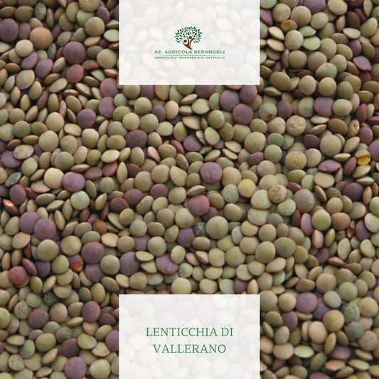 lenticchie di vallerano