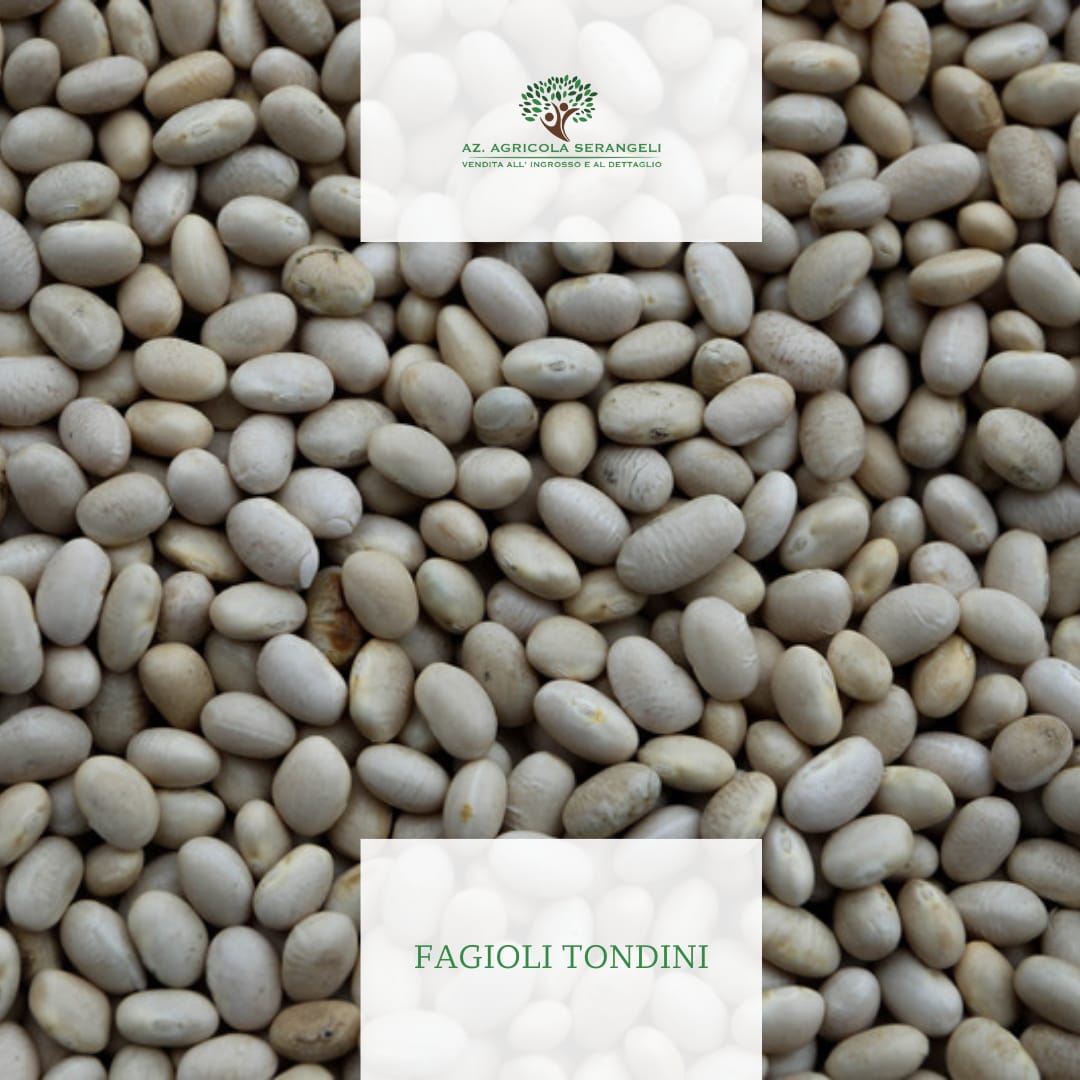 fagioli tondini