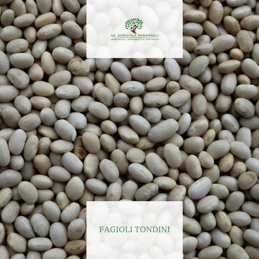 fagioli tondini