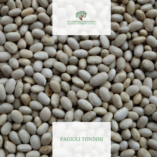 fagioli tondini