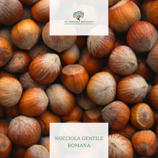 nocciola gentile romana azienda agricola serangeli viterbo